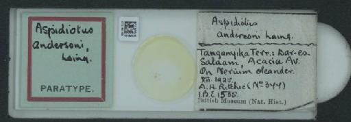 Aspidiotus andersoni Laing, 1929 - 010140185_117465_1097218