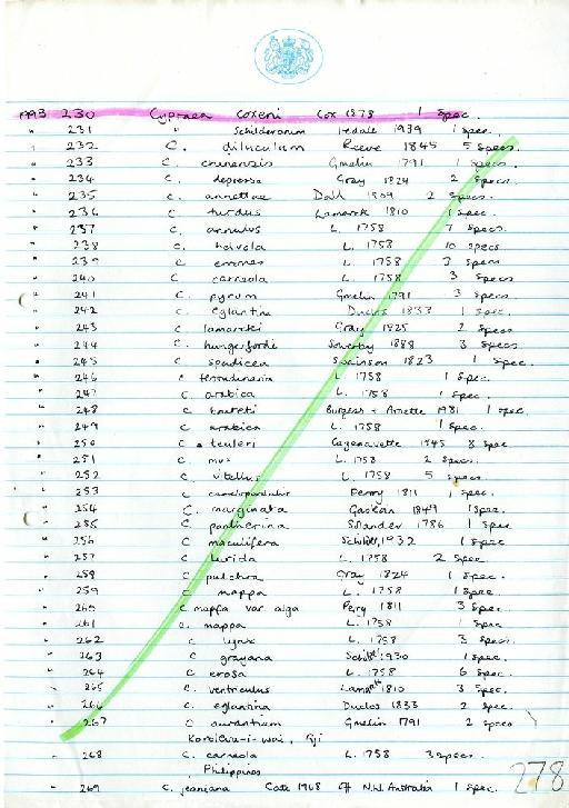 Cypraea lamarcki [sic] - Zoology Accessions Register: Mollusca: 1986 - 1993: page 278