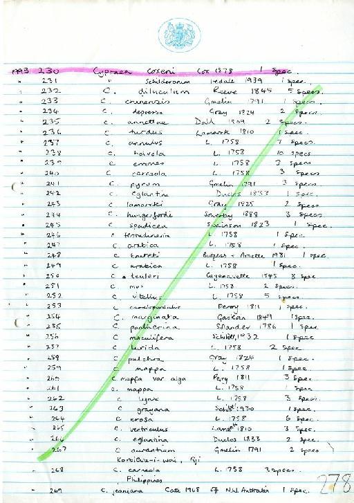 Cypraea lamarcki [sic] - Zoology Accessions Register: Mollusca: 1986 - 1993: page 278