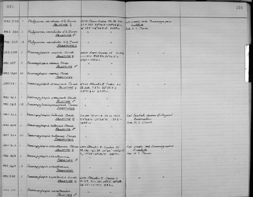 Procampylaspis lutensis Jones - Zoology Accessions Register: Crustacea: 1976 - 1984: page 216