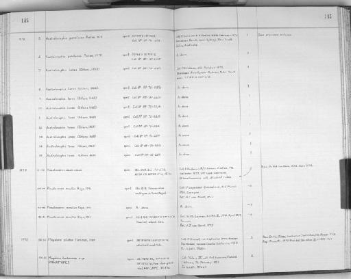 Australonuphis parateres Paxton, 1979 - Zoology Accessions Register: Polychaeta: 1967 - 1989: page 145