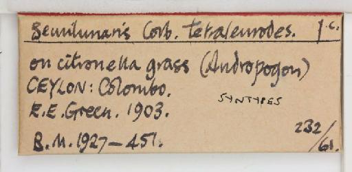 Crescentaleyrodes semilunaris Corbett, 1926 - 013500273_additional
