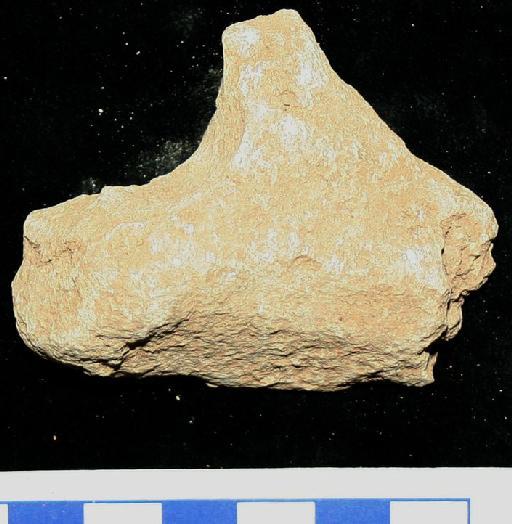 Bos Linnaeus, 1758 - M92648_2 Bos Mugharet el-Wad Postcranial element