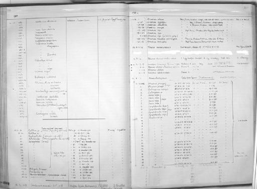 Istiblennius edentulus (Schneider & Forster in Bloch & Schneider, 1801) - Zoology Accessions Register: Fishes: 1971 - 1985: page 337