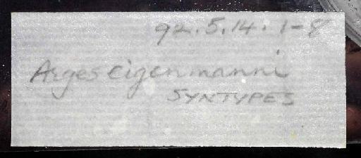 Arges eigenmanni Regan, 1904 - 1892.5.14.1-8; Arges eigenmanni; image of jar label; ACSI project image