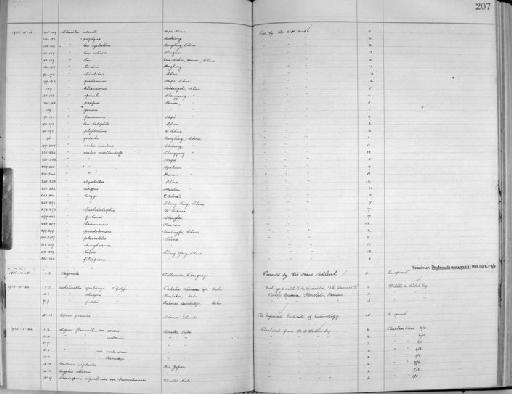 Achatinella phaezona - Zoology Accessions Register: Mollusca: 1925 - 1937: page 207