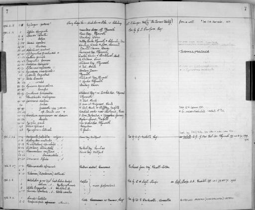 Ismardis spartacus Leigh-Sharpe, 1936 - Zoology Accessions Register: Crustacea: 1935 - 1962: page 7