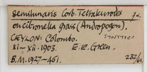 Crescentaleyrodes semilunaris Corbett, 1926 - 013500269_additional
