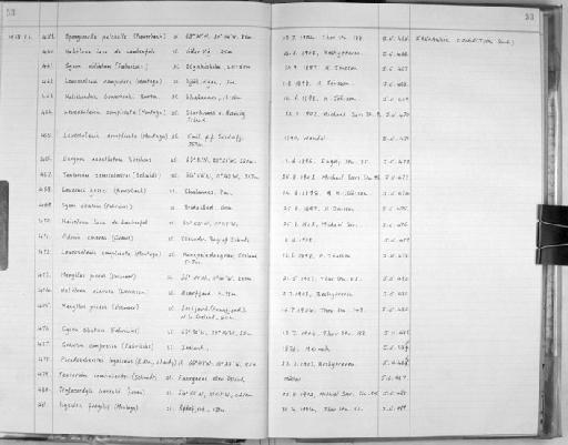 Stylocordyla borealis (Lovén, 1868) - Zoology Accessions Register: Spongiida: 1954 - 1970: page 53