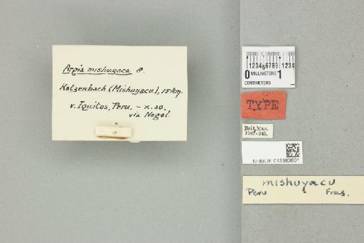 Argia mishuyaca Fraser, 1946 - 013383601_labels