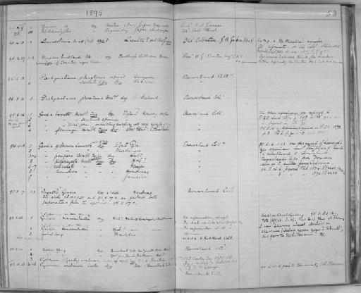 Geodia flemingii Bowerbank, 1873 - Zoology Accessions Register: Spongiida & Protozoa: 1887 - 1918: page 53