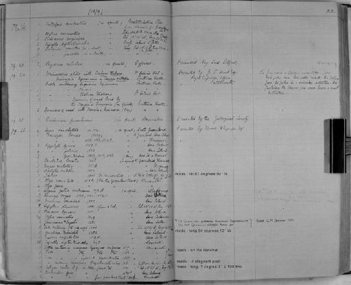 Caprella septentrionalis parvorder Caprellidira Krøyer, 1838 - Zoology Accessions Register: Crustacea: 1876 - 1905: page 22