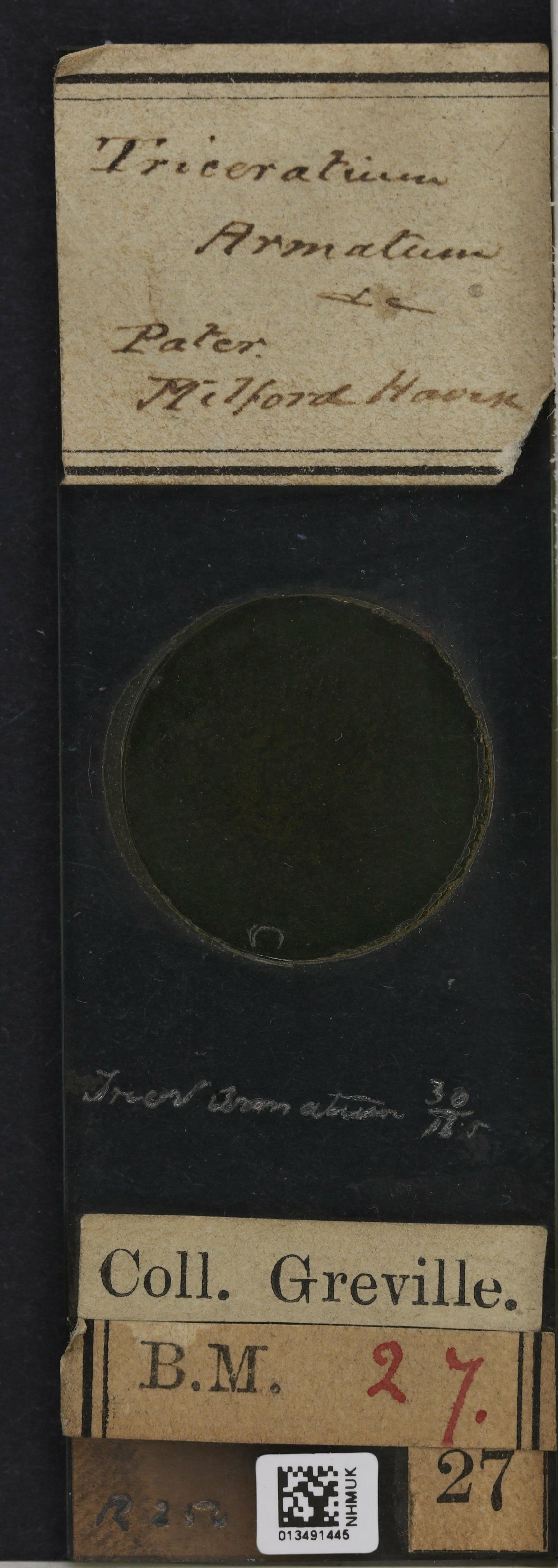 To NHMUK collection (Triceratium armatum Roper; TYPE; NHMUK:ecatalogue:4728389)
