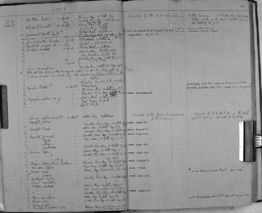 spinospinia parvorder Caprellidira - Zoology Accessions Register: Crustacea: 1876 - 1905: page 10