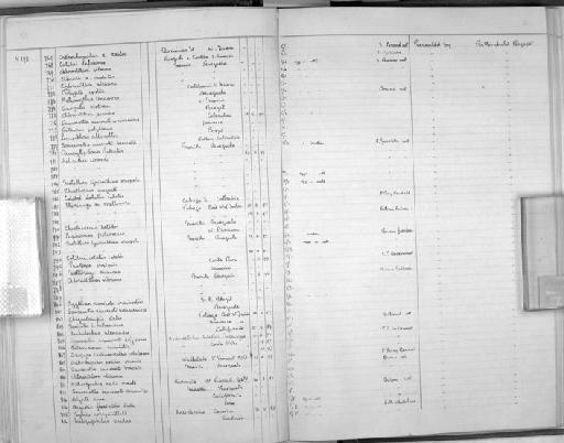 Florisuga mellivora mellivora (Linnaeus, 1758) - Zoology Accessions Register: Aves (Nest): 1959 - : page 60