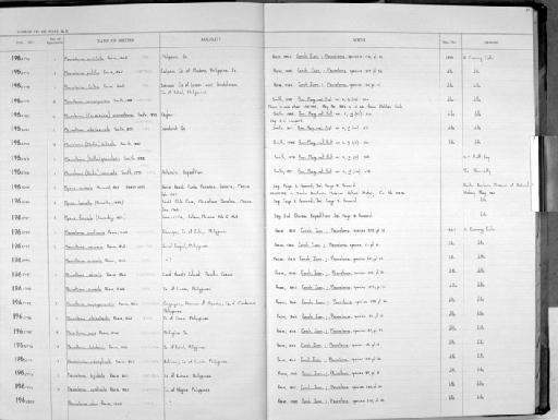 Pleurotoma (Drillia) excavata E. A. Smith, 1877 - Zoology Accessions Register: Mollusca: 1962 - 1969: page 81