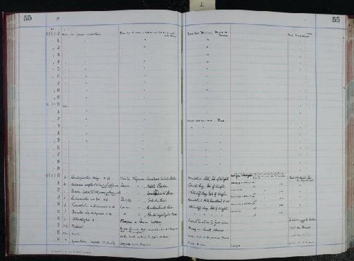 Globorotalia crassata (Cushman) - NHM-UK_P_DF118_04_06_0111