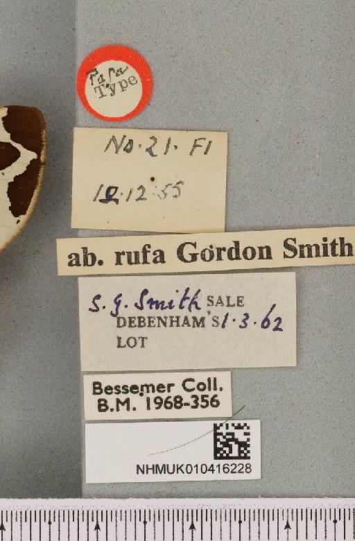 Arctia caja ab. rufa Smith, 1956 - NHMUK_010416228_a_label_528548