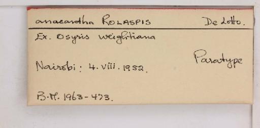 Rolaspis anacantha De Lotto, 1956 - 010714434_additional