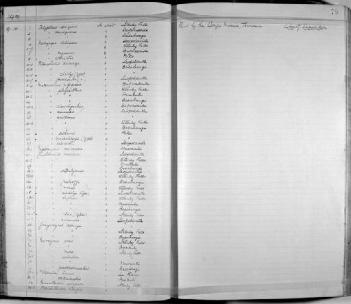 Poecilothrissa congica Regan, 1917 - Zoology Accessions Register: Fishes: 1912 - 1936: page 75