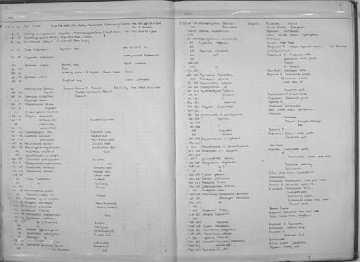 Iguanodectes tenuis Cope, 1872 - Zoology Accessions Register: Fishes: 1971 - 1985: page 94