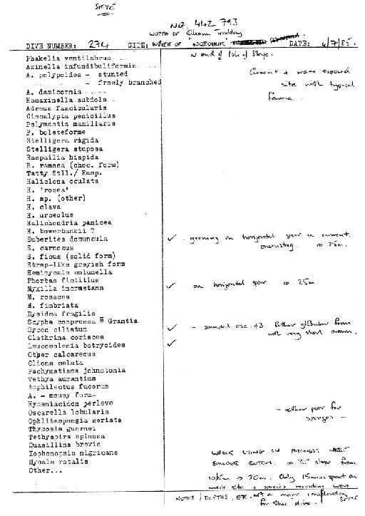 Haliclona (Haliclona haliclona) urceolus (Rathke & Vahl, 1806) - Spurrier Skye notes 7 (CSC 31 to 46).jpg