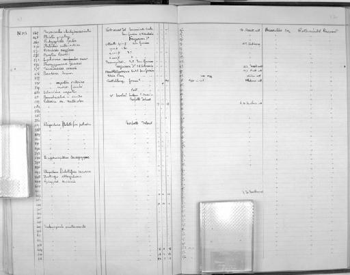 Rhipidura albiscapa pelzelni - Zoology Accessions Register: Aves (Nest): 1959 - : page 52