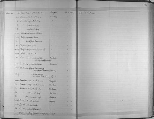 Polynoe scolopendrina Savigny, 1822 - Zoology Accessions Register: Annelida & Echinoderms: 1924 - 1936: page 165