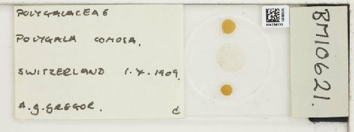 Plantae Haeckel - 014224135_289748_4514081