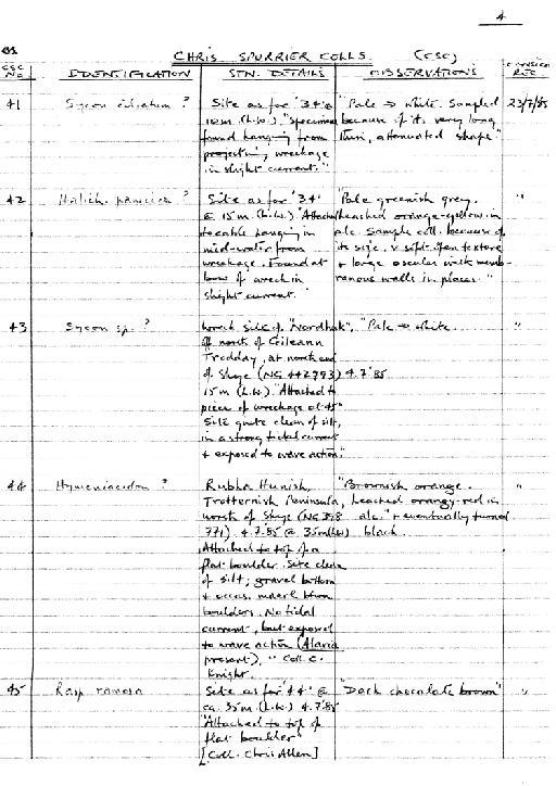 Haliclona (Haliclona haliclona) urceolus (Rathke & Vahl, 1806) - specimen notes #s CSC 41 to CSC 45.jpg