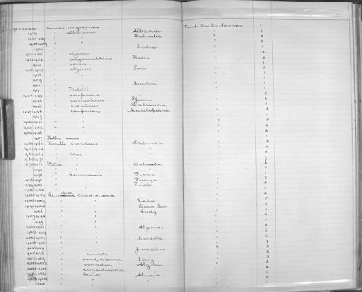 Leucochroa candidissima subterclass Tectipleura (Draparnaud, 1801) - Zoology Accessions Register: Mollusca: 1894 - 1899: page 151