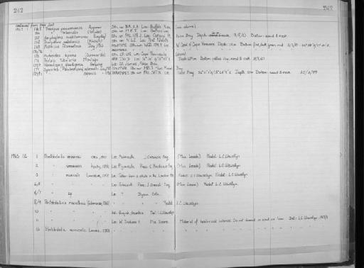 Protula tubularia (Montagu, 1803) - Zoology Accessions Register: Annelida: 1936 - 1970: page 242