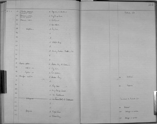 Menipea fuegensis Busk, 1852 - Zoology Accessions Register: Bryozoa: 1922 - 1949: page 114