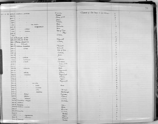 Odostomia pallida subterclass Tectipleura (Montagu, 1803) sensu Jeffreys, 1867 - Zoology Accessions Register: Mollusca: 1911 - 1924: page 20