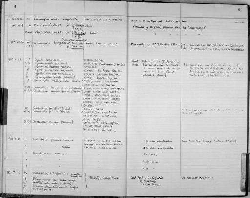 Sexanymphon mirabilis Hedgpeth & Fry, 1964 - Zoology Accessions Register: Crustacea: 1962 - 1969: page 6