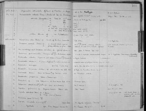 Conopeum seurati (Canu, 1928) - Zoology Accessions Register: Bryozoa: 1950 - 1970: page 101