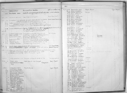 Nemacheilus maculiceps Roberts, 1989 - Zoology Accessions Register: Fishes: 1971 - 1985: page 303