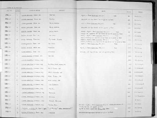 Lucina funiculata subterclass Euheterodonta Reeve, 1850 - Zoology Accessions Register: Mollusca: 1962 - 1969: page 55