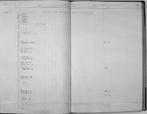 Scleractinia Bourne, 1900 - Zoology Accessions Register: Coelenterata: 1934 - 1951: page 89