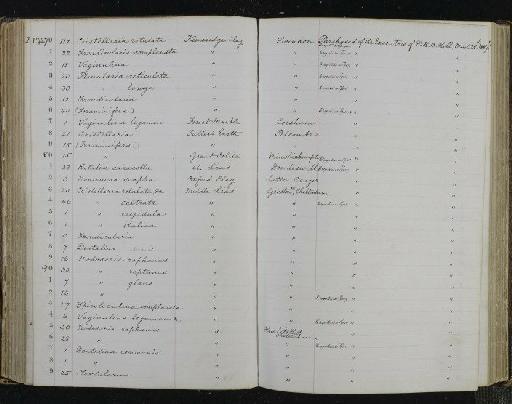 Frondicularia Defrance, 1826 - NHM-UK_P_DF118_04_01_0241