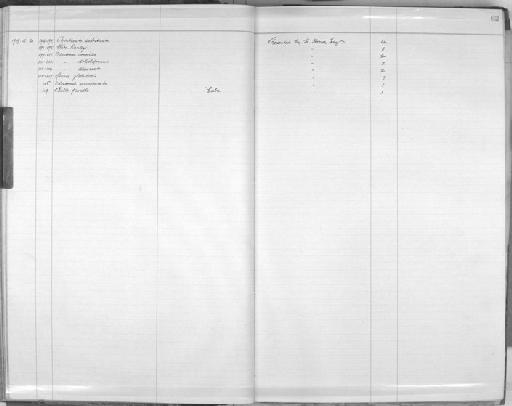Odostomia decussata - Zoology Accessions Register: Mollusca: 1906 - 1911: page 62