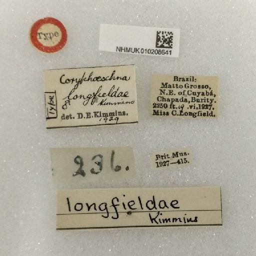 Coryphaeschna longfieldae Kimmins, 1929 - NHMUK010208641 Castoraeschna longfieldae holotype labels