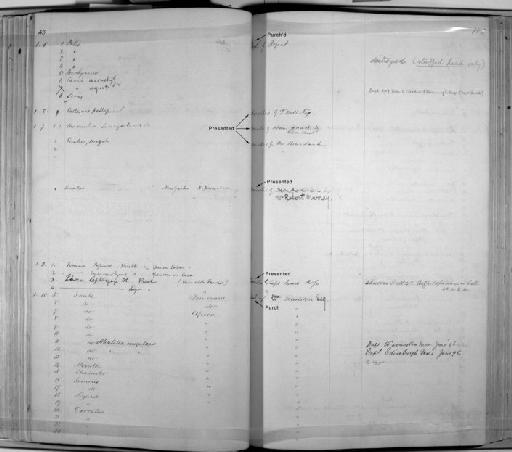 Hypostomus sp - Zoology Accessions Register: Mammals: 1841 - 1844: page 102