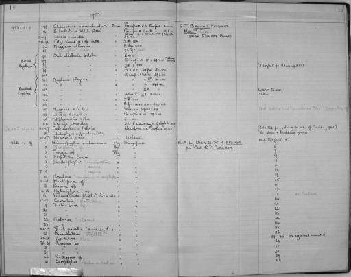 Genus indet. sp. indet. - Zoology Accessions Register: Coelenterata: 1951 - 1958: page 18