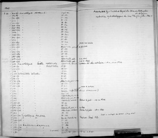Limnotilapia loocki Poll, 1949 - Zoology Accessions Register: Fishes: 1937 - 1960: page 238