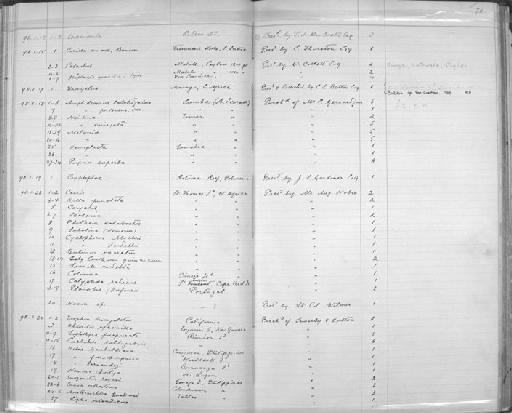 Cyclophorus vandellii Nobre, 1886 - Zoology Accessions Register: Mollusca: 1894 - 1899: page 76