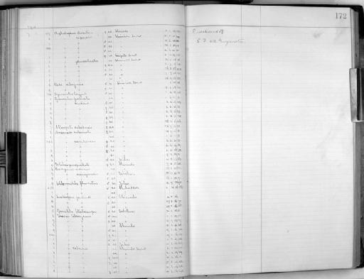 Turdoides jardineii jardinei - Zoology Accessions Register: Aves (Skins): 1909 - 1911: page 172