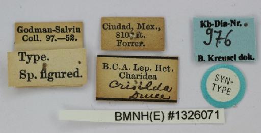 Cyanopepla griseldis (Druce, 1884) - BMNH(E)#1326071_Cyanopepla_griseldis_Druce_1884_Syntype_labels