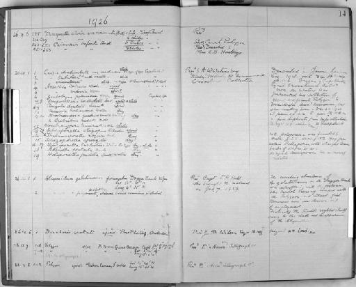 Cribrilina radiata var. flabellifera Kirkpatrick - Zoology Accessions Register: Bryozoa: 1922 - 1949: page 14