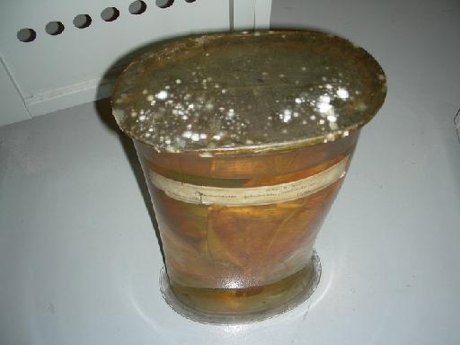 Pleuronectes platessa ambicolorate - 1920.9.9.1, jar with mould on lid